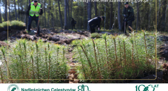 Sadzenie lasu w gminie Celestynów