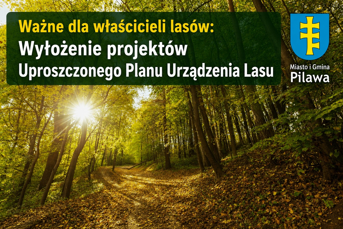alt obrazka