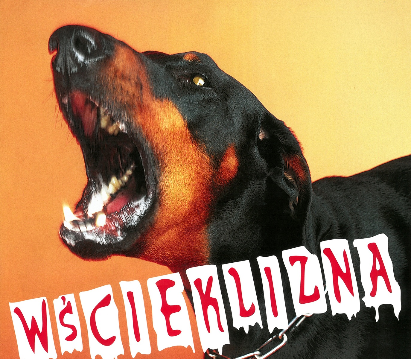 alt obrazka