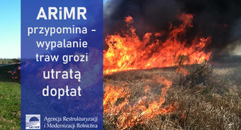 ARiMR przypomina - wypalanie traw grozi utratą dopłat