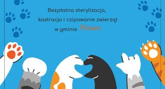 Bezpłatna sterylizacja, kastracja i czipowanie zwierząt w ramach zadania pn. „Zapobieganie bezdomności zwierząt w gminie Pilawa”